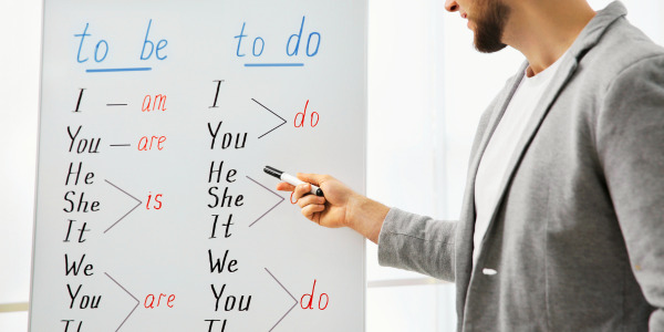 Auxiliary Verb sentence