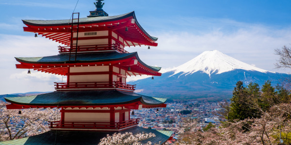 Study in Japan