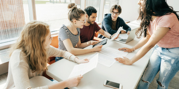 Harvard Major