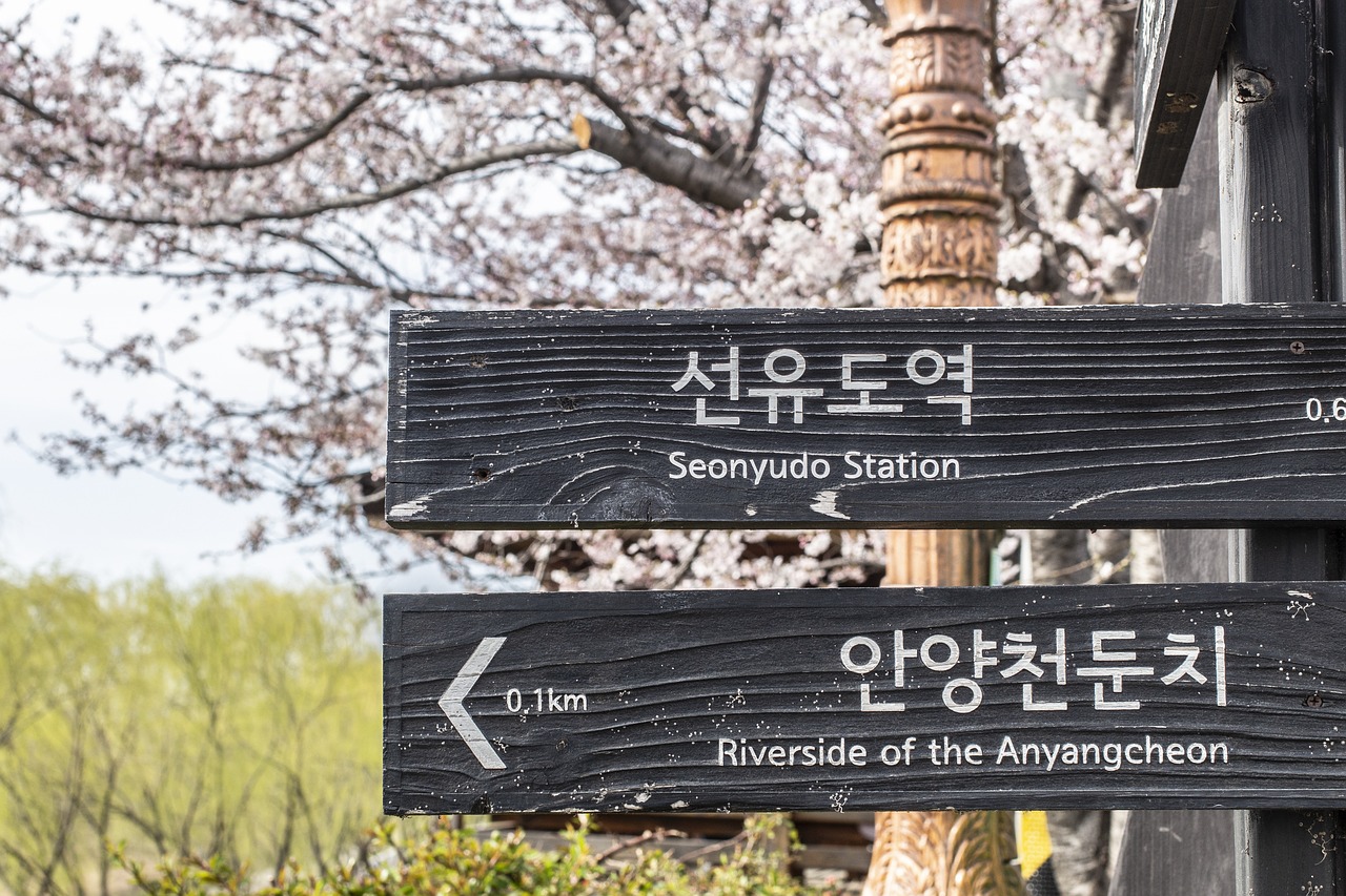 Gambar Beasiswa Korea Selatan